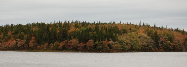 Yarmouth Umgebung: Großareal am Salmon Lake 