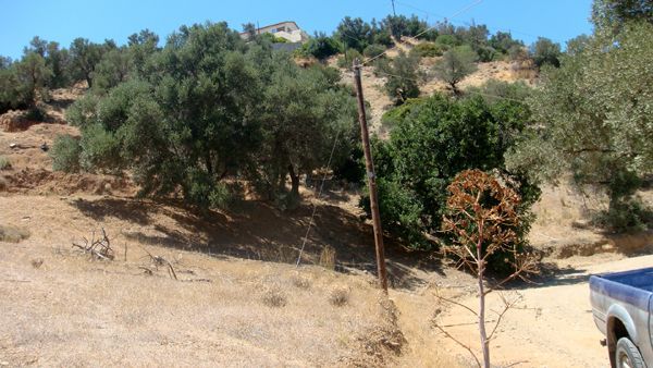 Agia Galini, Südkreta, 2 angrenzende Landsektionen mit Meerblick Agia Galini, Südkreta, 2 angrenzende Landsektionen mit Meerblick