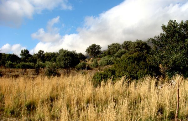 Süd-Kreta-Kreta: Triopetra, Land 1 Süd-Kreta-Kreta: Triopetra, Land 1