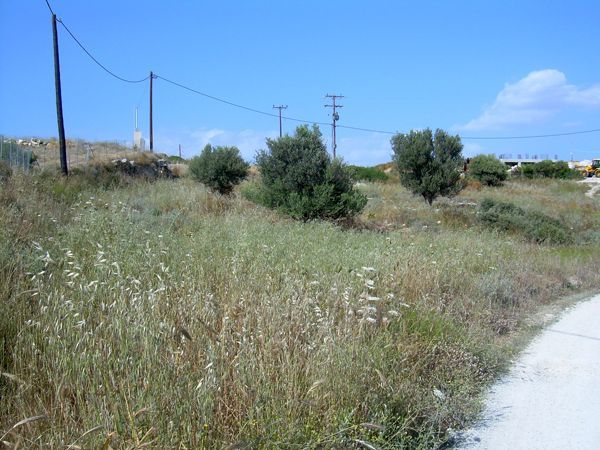 Süd-Kreta-Kreta: Kamilari, S Süd-Kreta-Kreta: Kamilari, S