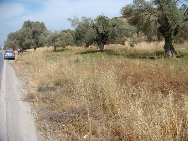 Süd-Kreta-Kreta: Sivas, Südkreta 