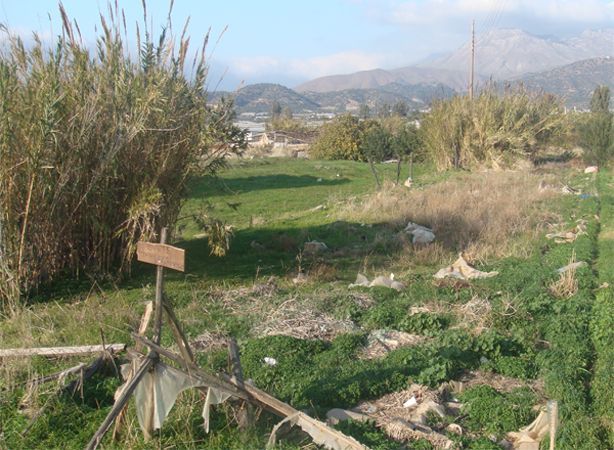 Süd-Kreta-Kreta: BAUGRUNDSTÜCKE-LAND - Timpaki - For Sale 