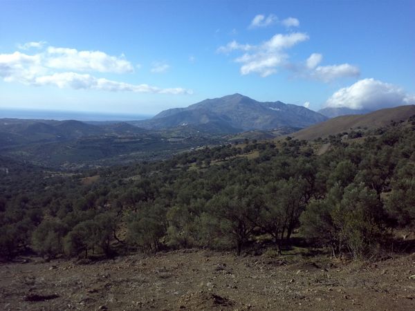 Süd-Kreta-Kreta: BAUGRUNDSTÜCKE-LAND - Timpaki - For Sale Süd-Kreta-Kreta: BAUGRUNDSTÜCKE-LAND - Timpaki - For Sale