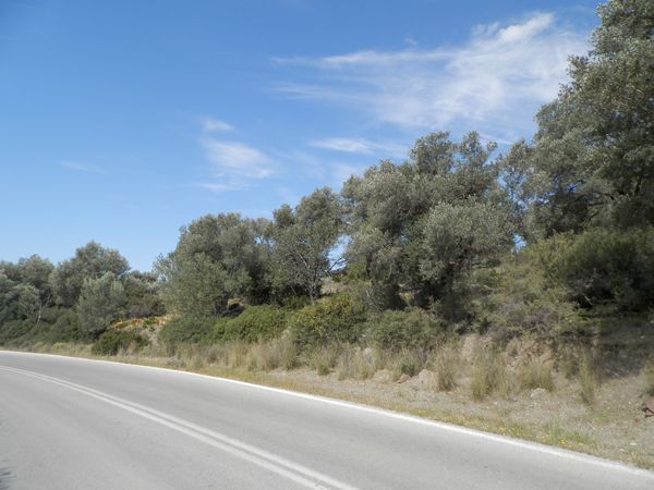 Süd-Kreta-Kreta: BAUGRUNDSTÜCKE-LAND - Rethymno - For Sale 