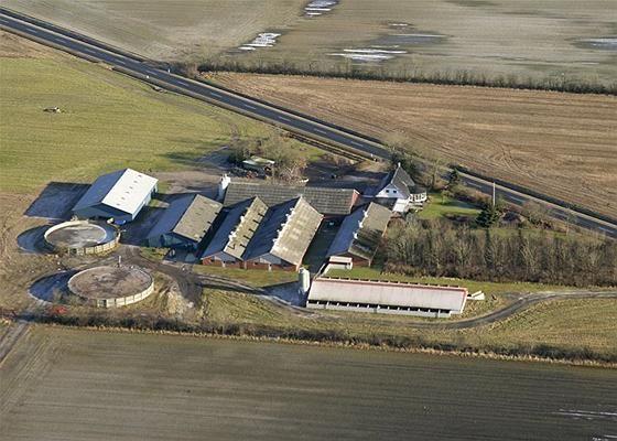 Ansager: Vejlevej 75 6823 Ansager 