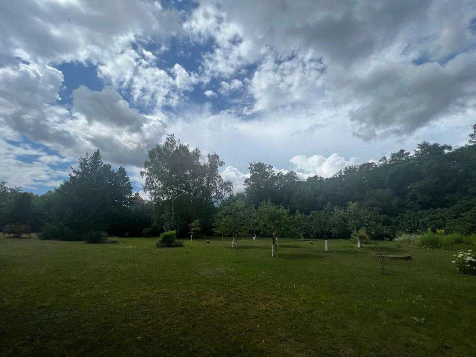 209b0e03-aa18-40dc-8201-9934a2af6569-1655371367 209b0e03-aa18-40dc-8201-9934a2af6569-1655371367