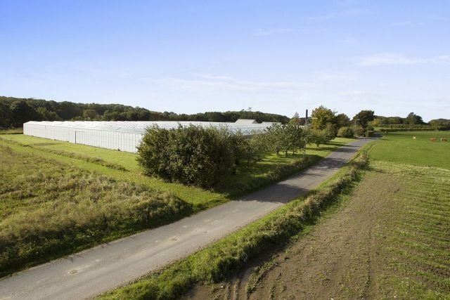 Odense S: Skærevej 62 5260 Odense S: Skærevej 62 5260