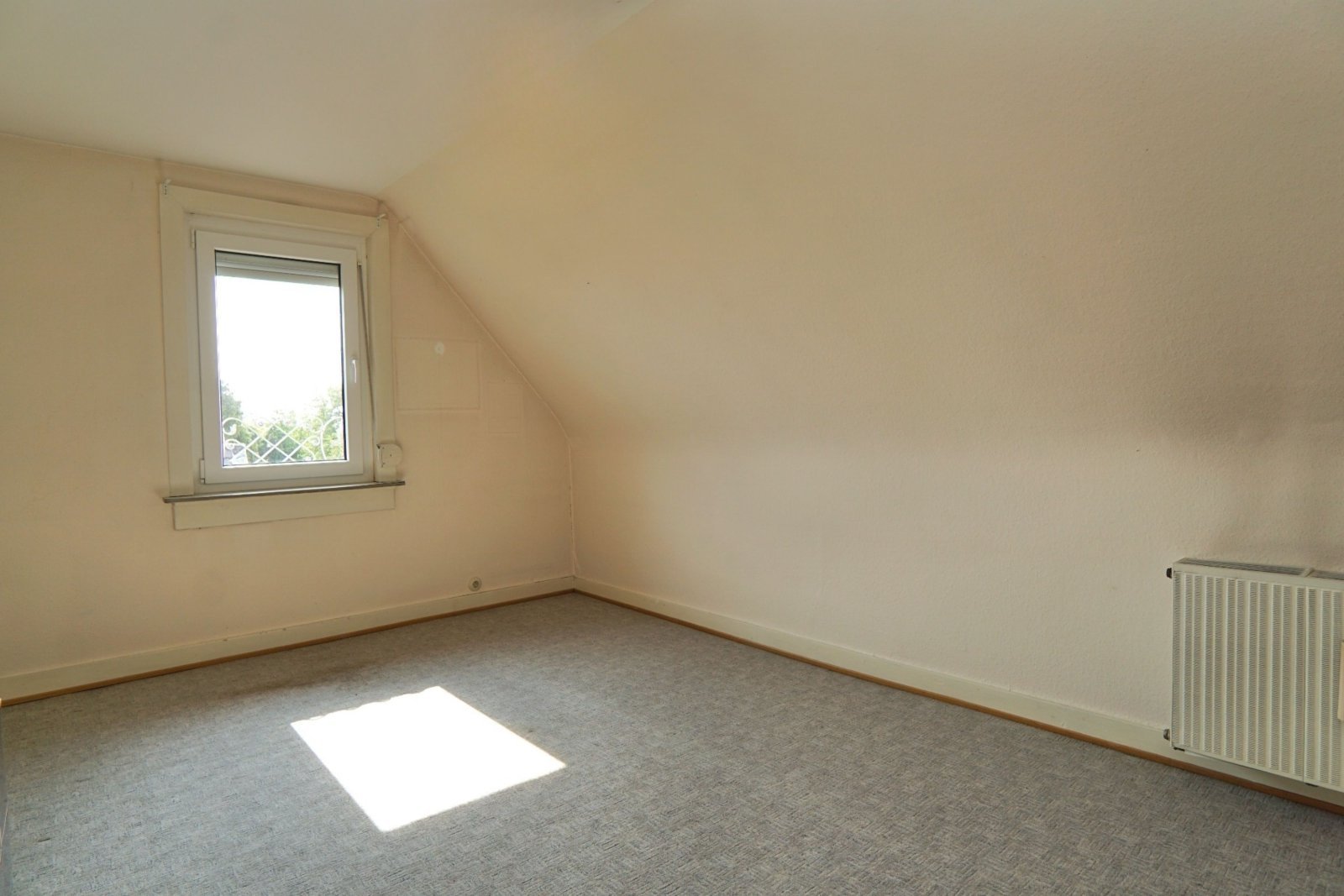 Blumenauer(c)- Original Blumenauer(c)- Original