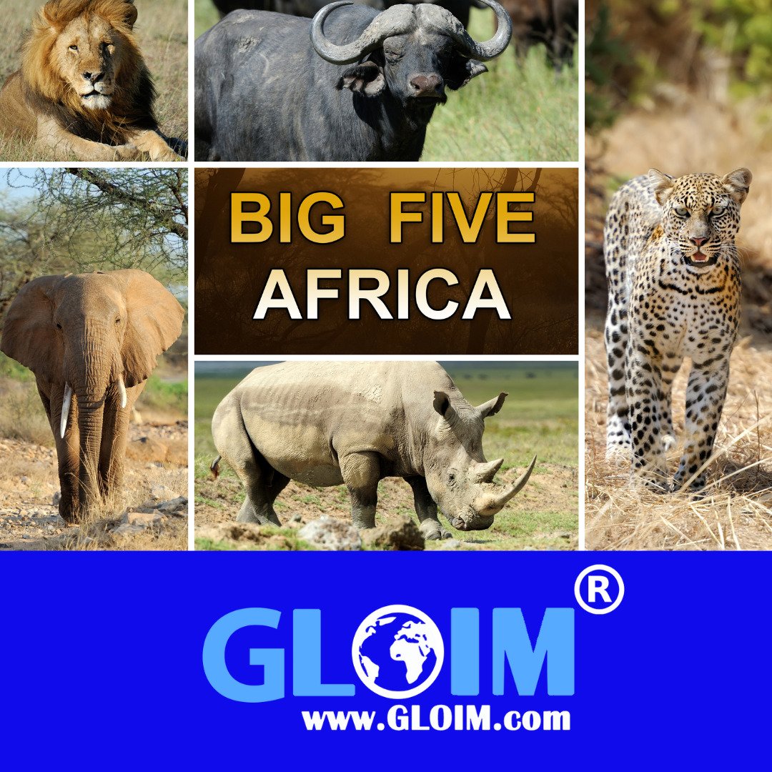 Limpopo: Ihre großartige Farm am Krüger Nationalpark, jetzt anschauen ! 