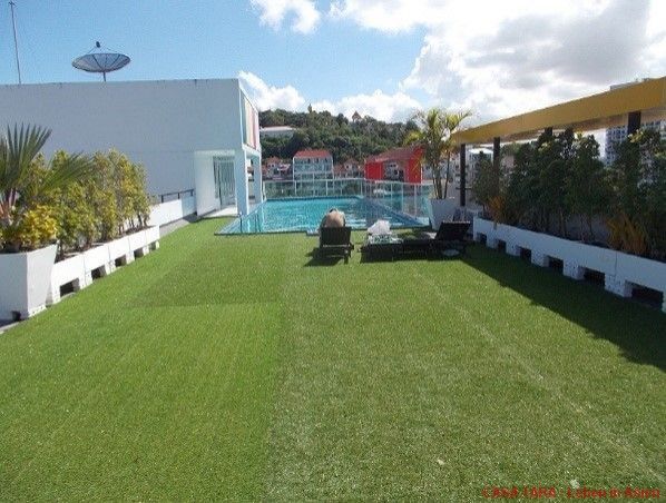 Grüner Dachbereich Grüner Dachbereich