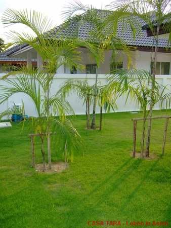 Garten vorne Garten vorne