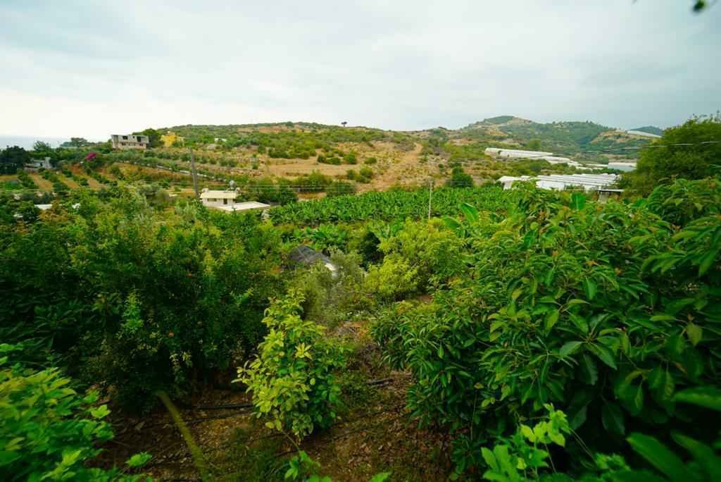 Bauernhof zum Verkauf in Alanya 26