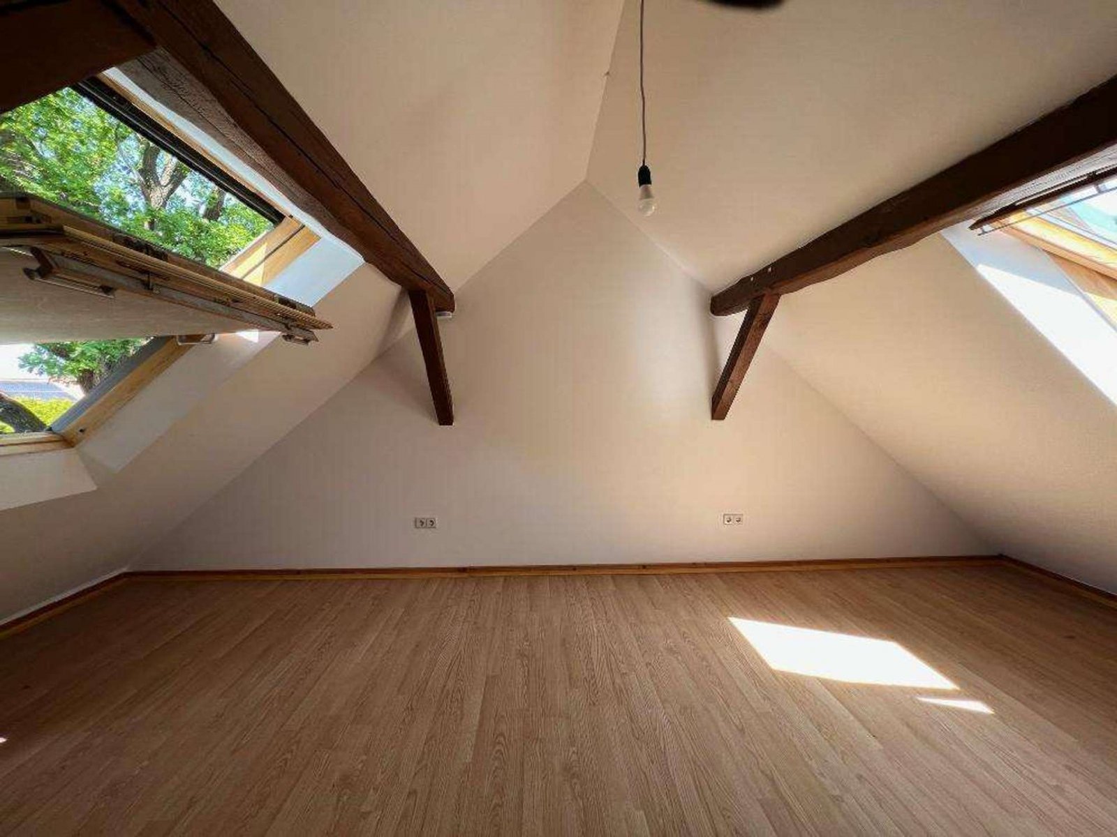 fc6d0dd2-fdf6-471a-8175-9419c80aed2c-1648134782