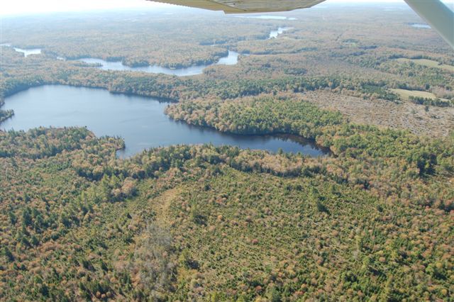 Immobilien Kanada Luftbild Gridiron Lake Immobilien Kanada Luftbild Gridiron Lake