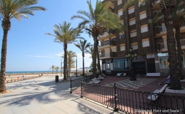 Torrevieja: Torrevieja: