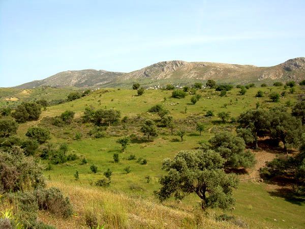 Süd-Kreta-Kreta Geographische Lage: Hügel: 25 Süd-Kreta-Kreta Geographische Lage: Hügel: 25