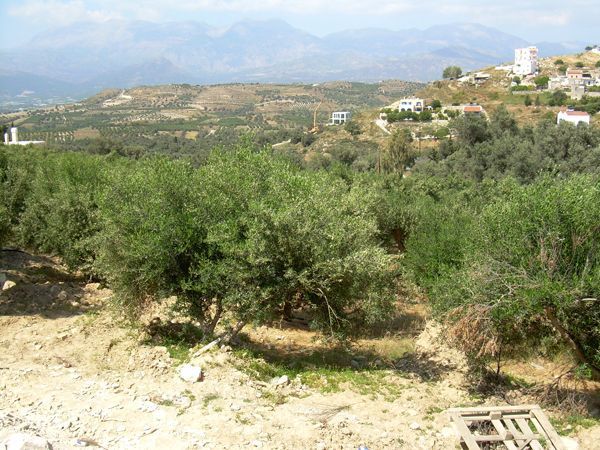 Süd-Kreta-Kreta: Kamilari, S Süd-Kreta-Kreta: Kamilari, S