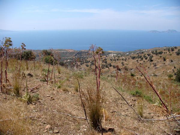 Süd-Kreta-Kreta: Agia Galini, Südkreta Süd-Kreta-Kreta: Agia Galini, Südkreta