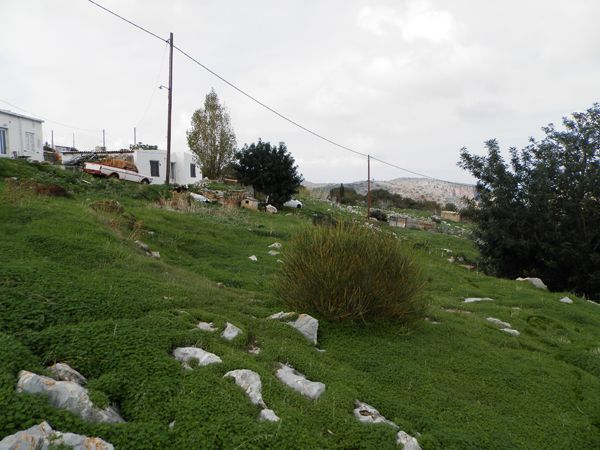 Nord-Kreta: BAUGRUNDSTÜCKE-LAND - Gouves - For Sale Nord-Kreta: BAUGRUNDSTÜCKE-LAND - Gouves - For Sale