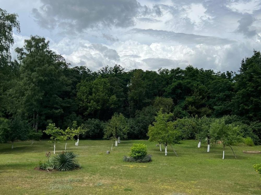 Am Mellensee: Am Mellensee: