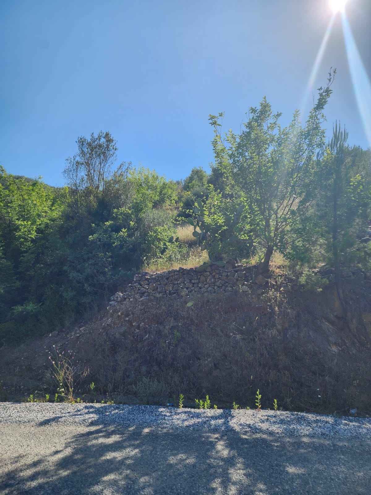 Alanya Fakircali : Land in Alanya Fakircali – Agricultural, Scenic 