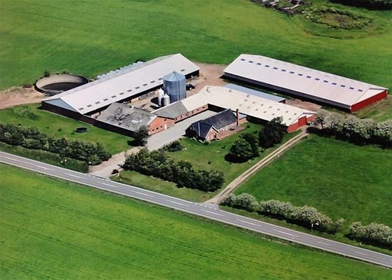 Viborg: Vestre Skivevej 105 8800 Viborg Viborg: Vestre Skivevej 105 8800 Viborg