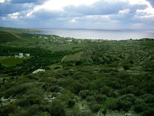 Süd-Kreta-Kreta: 12 