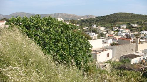 Süd-Kreta-Kreta: Kamilari, Südkreta 