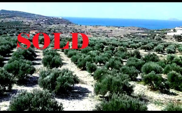 Süd-Kreta-Kreta: Pitsidia, Südkreta 