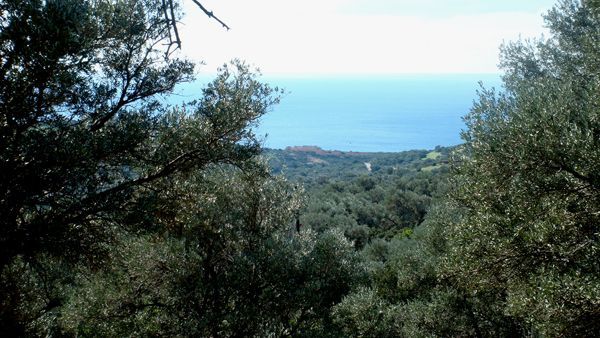 Süd-Kreta-Kreta: Triopetra, S 