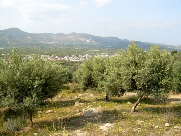 Süd-Kreta-Kreta: Messara, S 