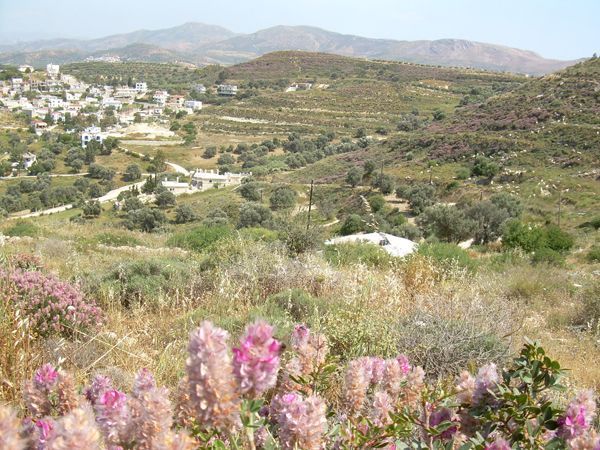 Süd-Kreta-Kreta: Kamilari, S 