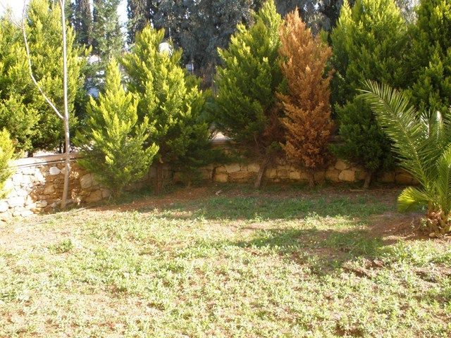 Agia Paraskevi: Athens North - Agia Paraskevi (Agia Paraskevi) 