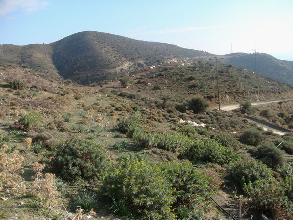 Süd-Kreta-Kreta: Antiskari, Südkreta 60,000 qm landwirtschaftliches Gelande 