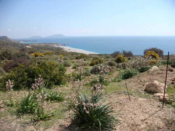 Süd-Kreta-Kreta: Triopetra Strand, Süd-Kreta 