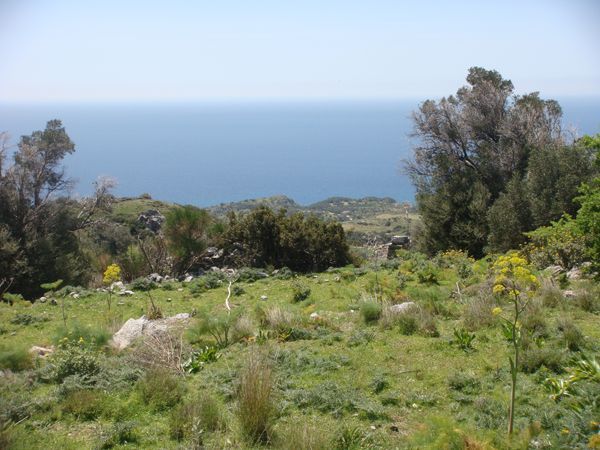 Süd-Kreta-Kreta: Kerame, Süd Kreta 