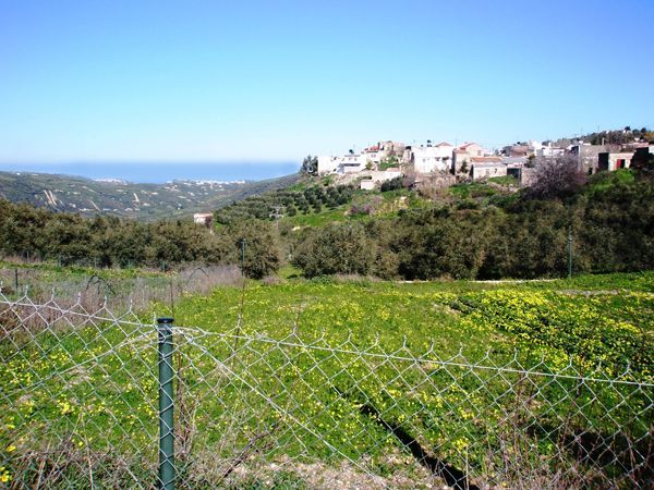 Nord-Kreta: BAUGRUNDSTÜCKE-LAND - Heraklion - For Sale 