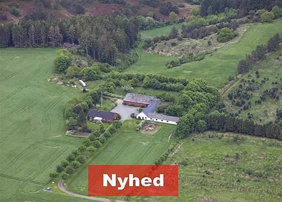 Viborg: Bryrupvej 16 8800 Viborg 