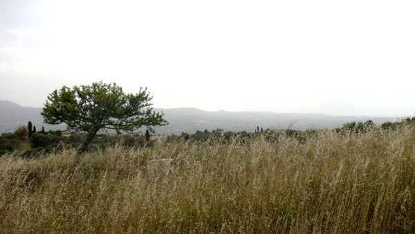 Süd-Kreta-Kreta: Galia, Südkreta Süd-Kreta-Kreta: Galia, Südkreta