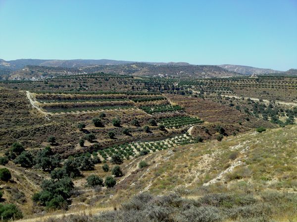 Süd-Kreta-Kreta: Kamilari, Südkreta Süd-Kreta-Kreta: Kamilari, Südkreta