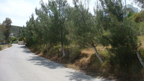 Süd-Kreta-Kreta: Kamilari, Süd-Kreta Süd-Kreta-Kreta: Kamilari, Süd-Kreta