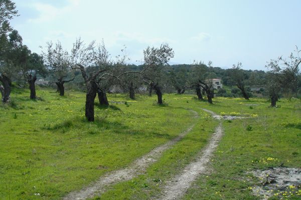 Nord-Kreta: Rethymnon, Kreta 