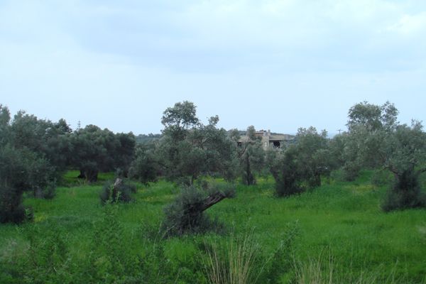 Nord-Kreta: Pigi Bereich, Rethymnon, Kreta 