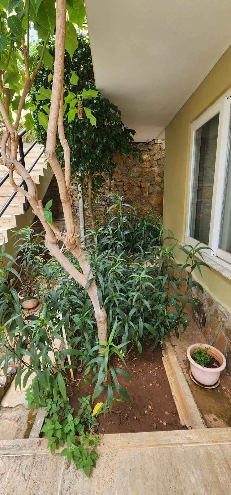 Wohnung zum Verkauf in Alanya Kale 27 Wohnung zum Verkauf in Alanya Kale 27