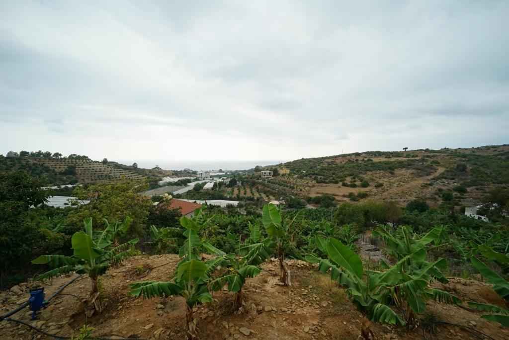 Bauernhof zum Verkauf in Alanya 08