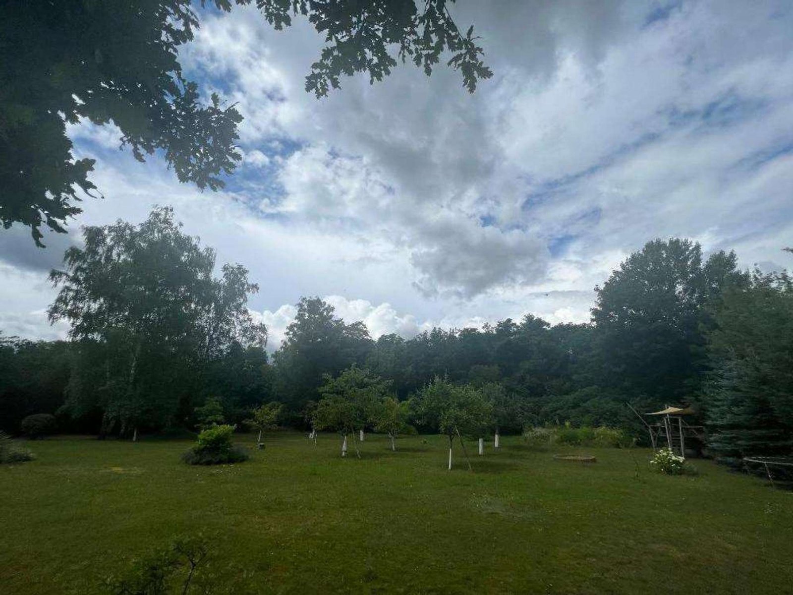 0ea3d8c5-fc7c-4356-a891-b3538de35155-1655371363