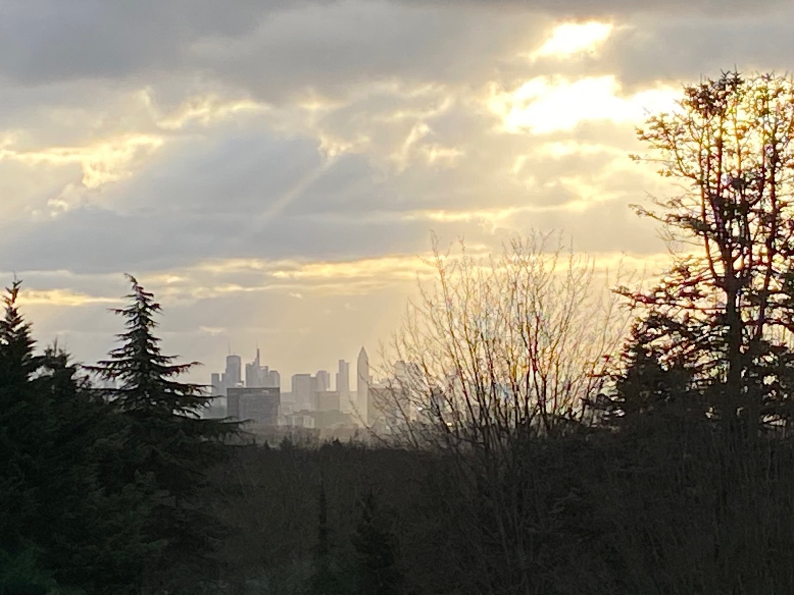Bad Soden am Taunus: Villa mit Skylineblick 