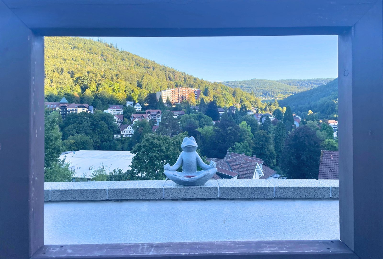 Blumenauer (c) - Weitsicht Blumenauer (c) - Weitsicht