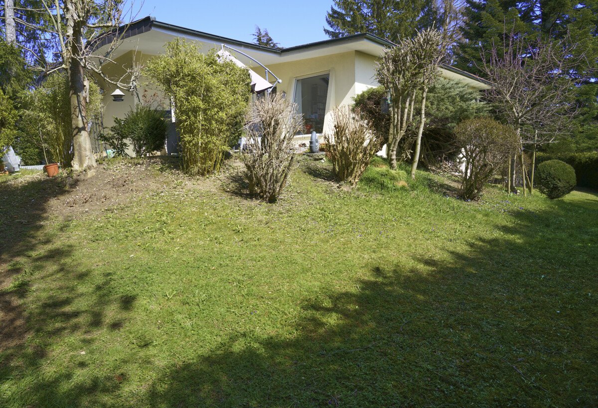 Blick vom Garten Blick vom Garten