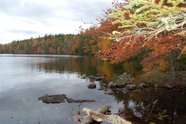 Immobilien Kanada Ufer Bereich Abfluss Gridiron Lake Immobilien Kanada Ufer Bereich Abfluss Gridiron Lake